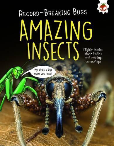 Amazing Insects - Record-Breaking Bugs (Paperback)