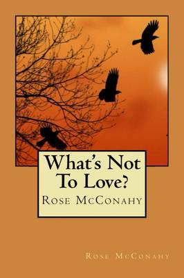 What's Not To Love? (Paperback)