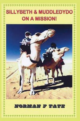 Muddledydo & Sillybeth on a Mission (Paperback)