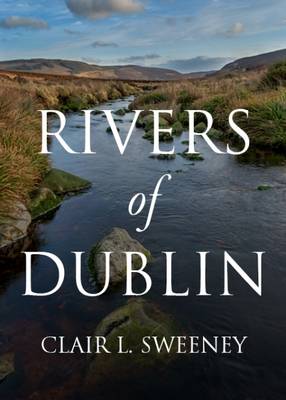 Rivers of Dublin 2017 (Hardback)