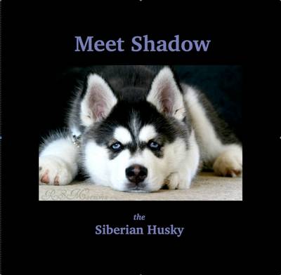 Meet Shadow: The Siberian Husky (Paperback)