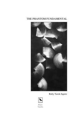 THE Phantom Fundamental (Paperback)