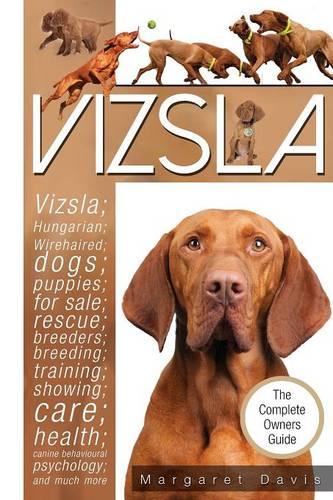 Vizsla (Paperback)