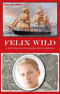 Felix Wild: A Foundling on Board HMS Warrior (Paperback)