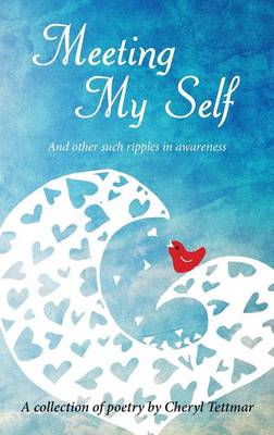 Meeting Myself (Paperback)