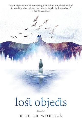 Lost Objects (Paperback)
