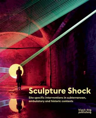 Sculpture Shock: Site specific interventions in subterranean, ambulatory and historic contexts (Paperback)