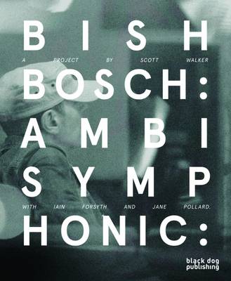 bish-bosch-by-christopher-scoates-scott-walker-waterstones