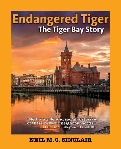 Endangered Tiger: The Tiger Bay Story - Wordcatcher History (Paperback)