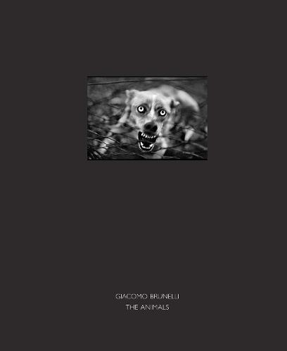 The Animals (Hardback)