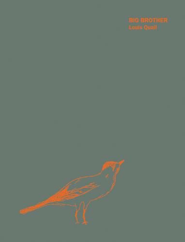 Big Brother (Hardback)