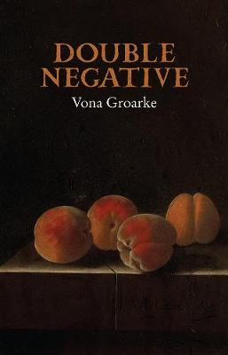 Double Negative (Hardback)