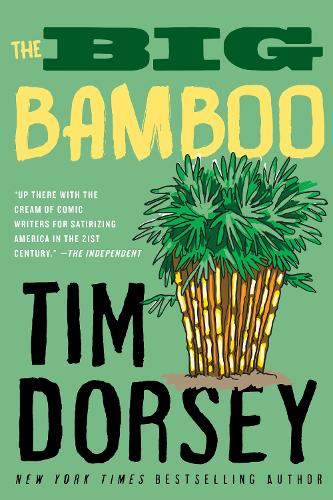 Big Bamboo (Paperback)