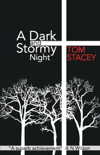 A Dark and Stormy Night (Paperback)