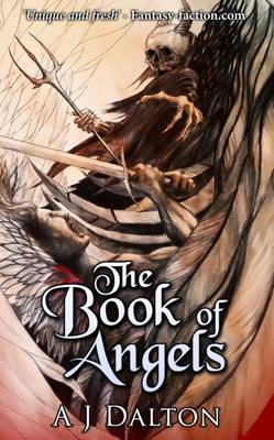 The Book of Angels (Paperback)
