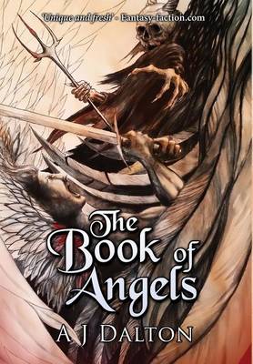 The Book of Angels (Hardback)