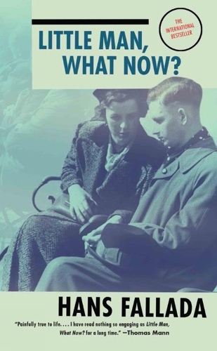 Little Man, What Now? (Paperback)