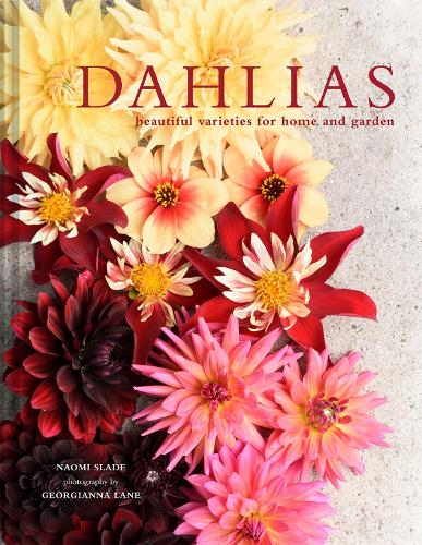 Dahlias: Beautiful varieties for home and garden (Hardback)