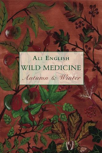 Wild Medicine - Autumn & Winter (Paperback)