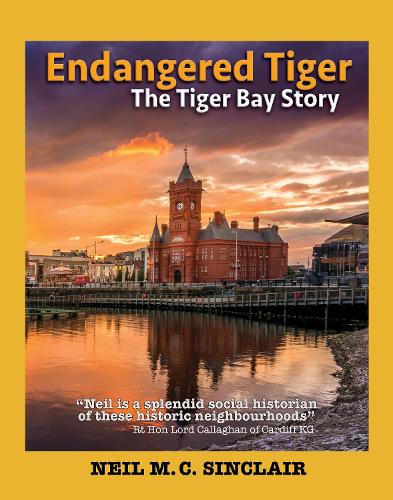 Endangered Tiger: The Tiger Bay Story - Wordcatcher History (Paperback)