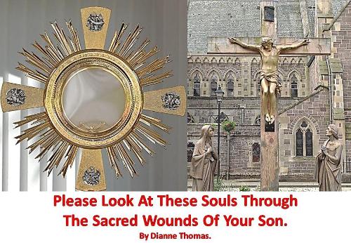 Please Look At These Souls Through The Sacred Wounds Of Your Son. (Paperback)