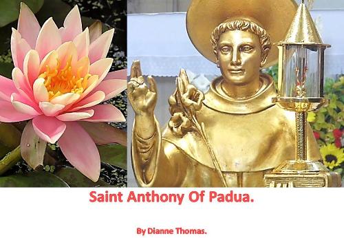 Saint Anthony Of Padua. (Paperback)