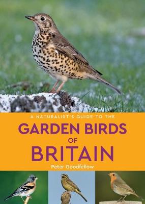 A Naturalist's Guide to the Garden Birds of Britain (2nd edition) - Naturalist's Guide (Paperback)