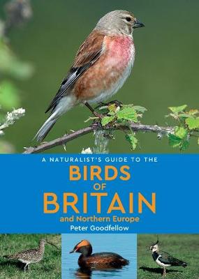 A Naturalist's Guide to the Birds of Britain and Northern Europe (2nd edition) - Naturalist's Guide (Paperback)