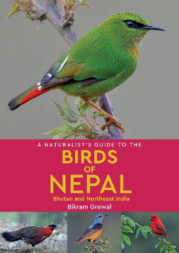 Bikram Grewal A Naturalist's Guide to the Birds of Nepal