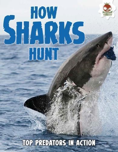 Shark! How Sharks Hunt (Paperback)
