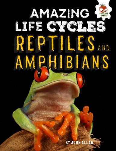 Reptiles and Amphibians - Amazing Life Cycles (Hardback)