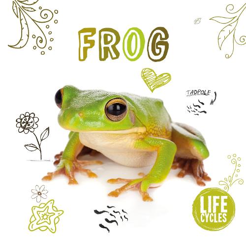 Frog - Life Cycles (Paperback)