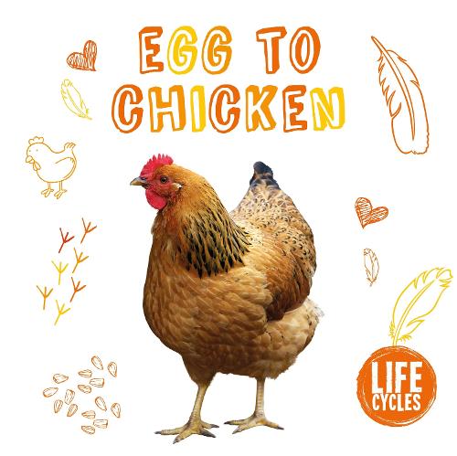 Chicken - Life Cycles (Paperback)