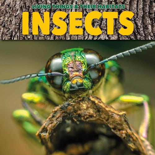 Insects - Living Things and Their Habitats (Paperback)