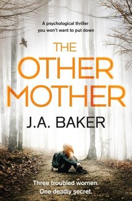 The Other Mother (Paperback)