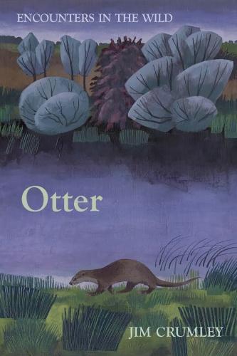 Otter - Encounters in the Wild (Hardback)