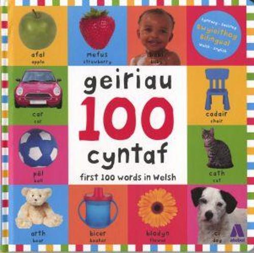100 Geiriau Cyntaf/ First 100 Words in Welsh (Hardback)