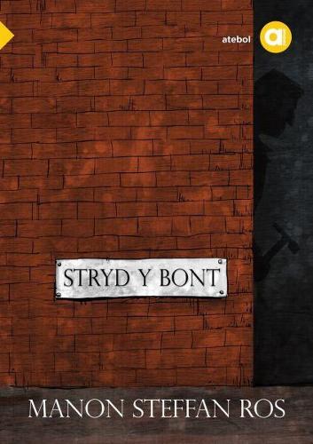 Cyfres Amdani: Stryd y Bont (Paperback)