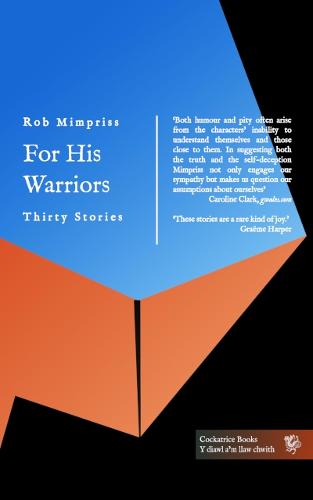 For His Warriors: Thirty Stories (Paperback)