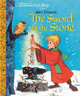 A Treasure Cove Story - The Sword in the Stone (Hardback)
