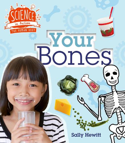 Human Body: Your Bones - Science in Action (Paperback)