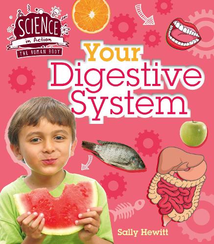 Human Body: Your Digestive System - Science in Action (Paperback)