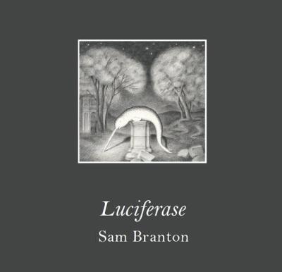 Luciferase (Paperback)