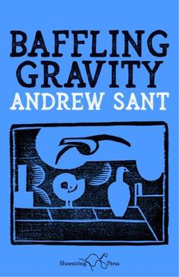 Baffling Gravity (Paperback)
