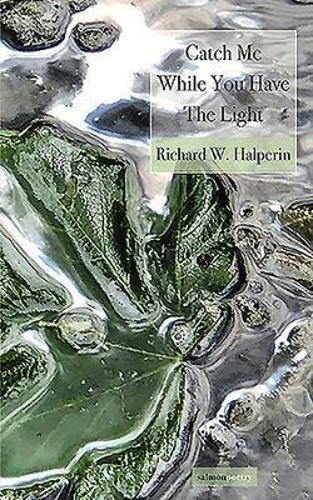 Catch Me While You Have the Light (Paperback)