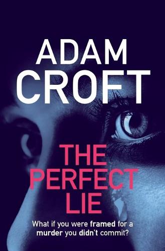 The Perfect Lie (Paperback)