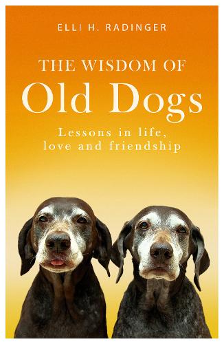 The Wisdom of Old Dogs: Lessons in life, love and friendship (Paperback)