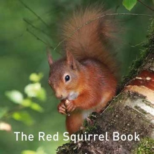 Nature Book Series, The: The Squirrel Book (Hardback)