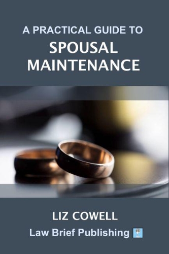 A Practical Guide to Spousal Maintenance (Paperback)