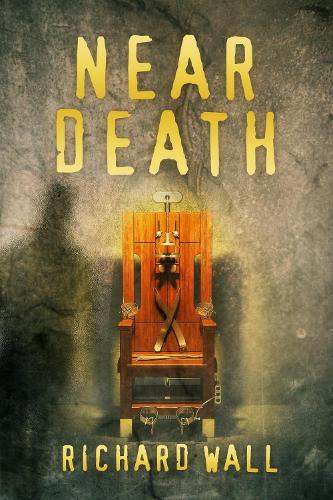 Near Death (Paperback)